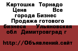 Картошка “Торнадо“ › Цена ­ 115 000 - Все города Бизнес » Продажа готового бизнеса   . Ульяновская обл.,Димитровград г.